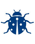 Bug Tattoo