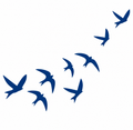 Bird Tattoo