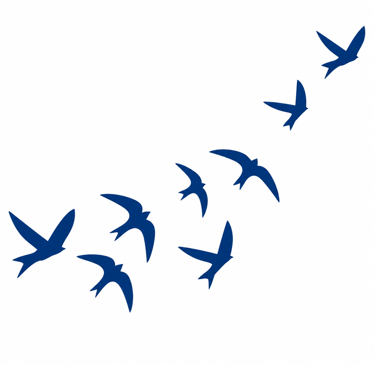 Bird Tattoo