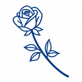 Curve Rose